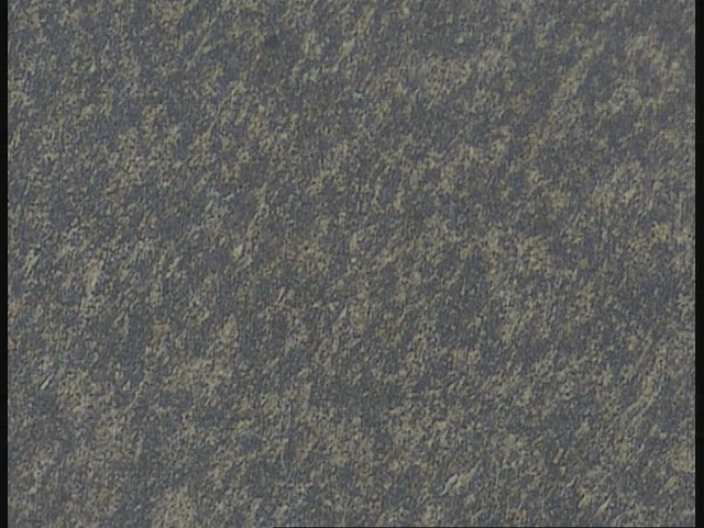 yp1311--5.jpg