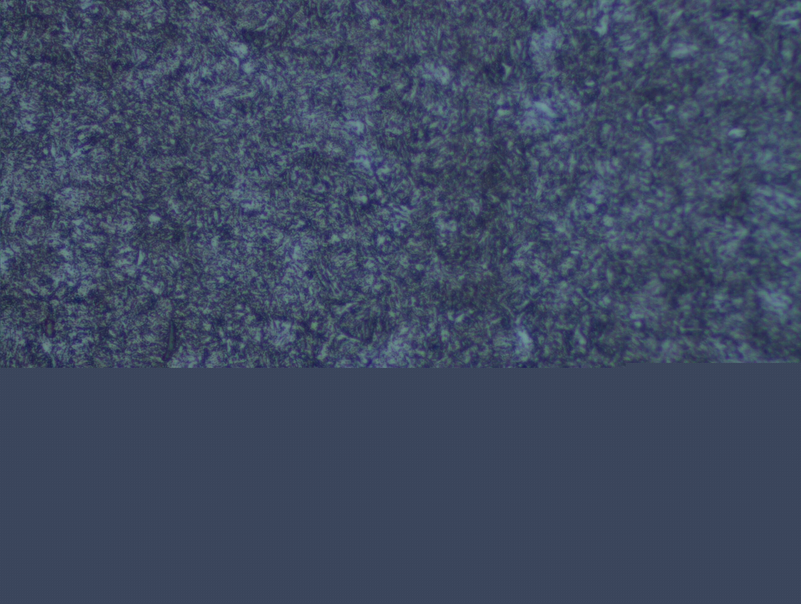 500