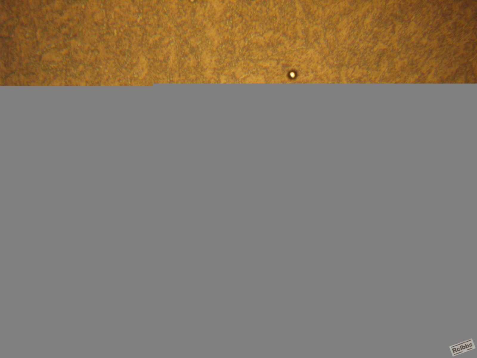 IMG_4514.JPG
