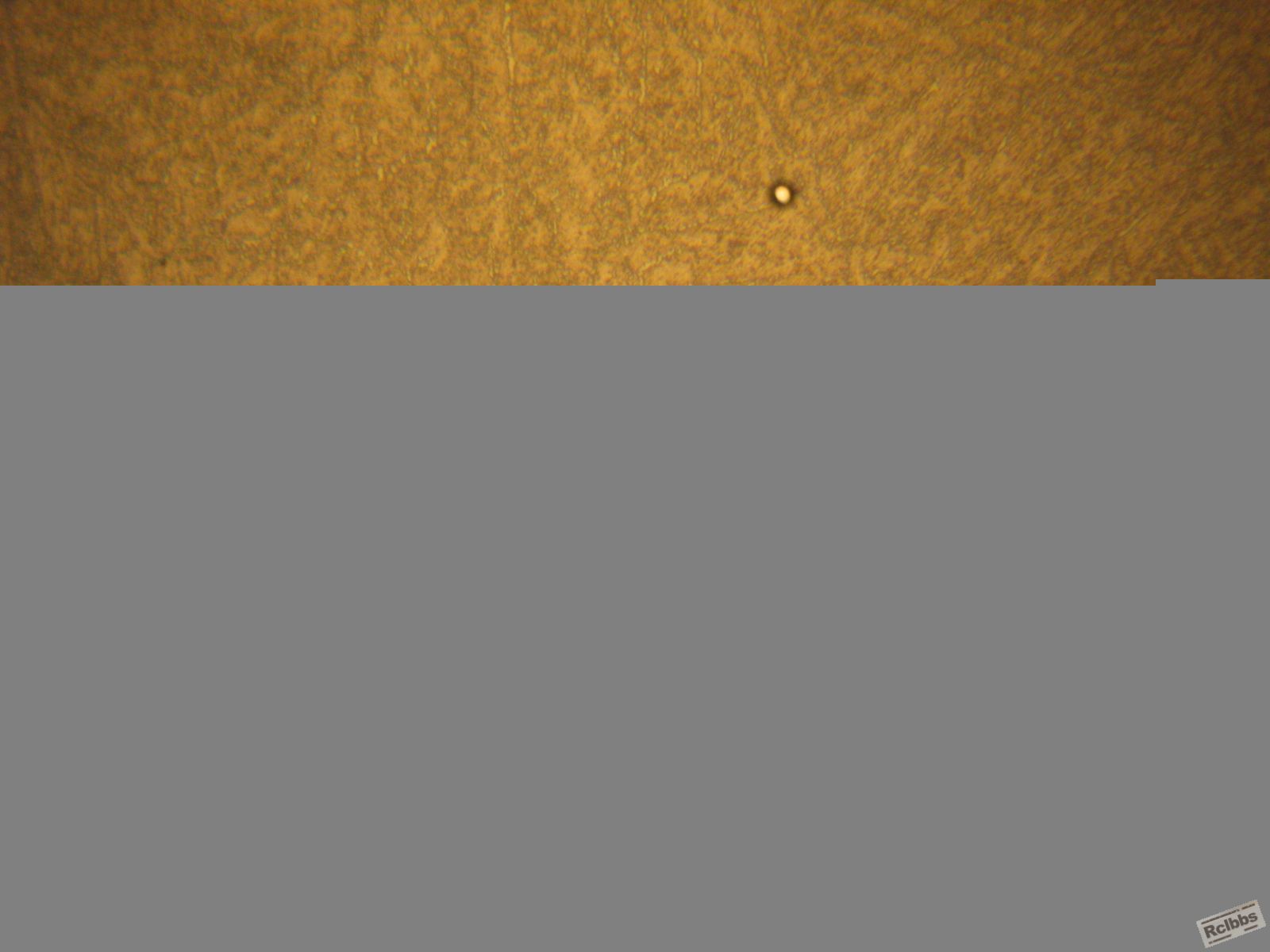 IMG_4515.JPG