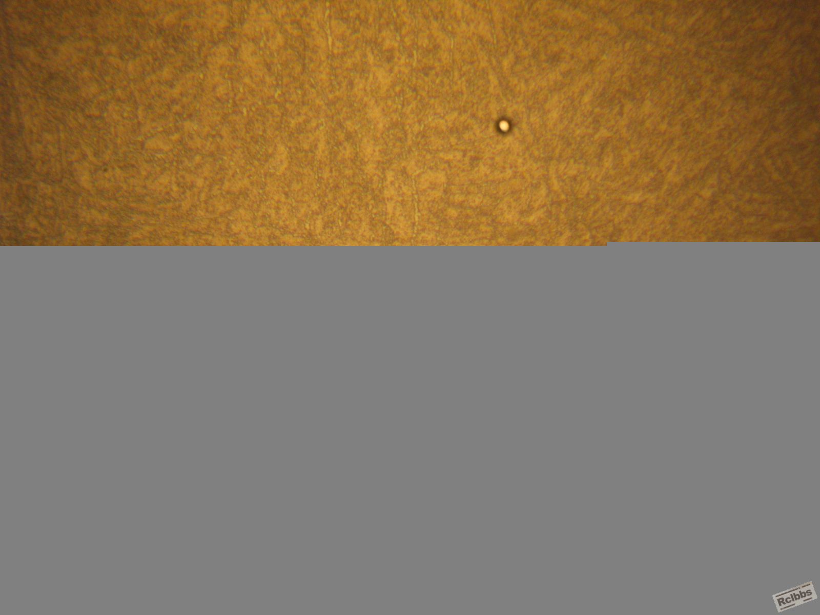 IMG_4516.JPG