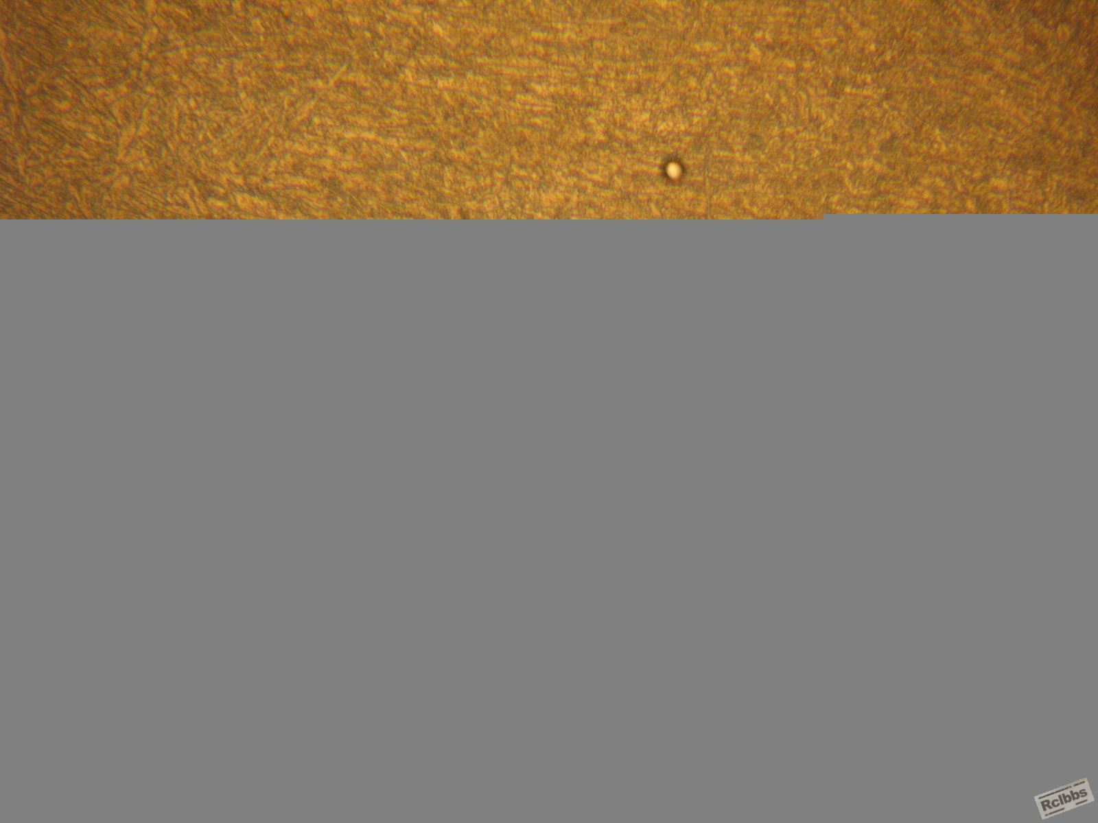 IMG_4517.JPG