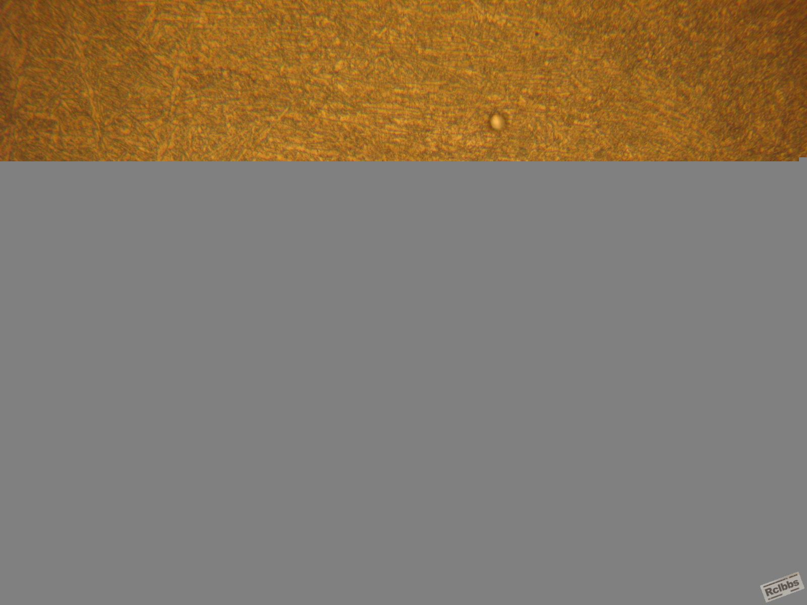 IMG_4518.JPG