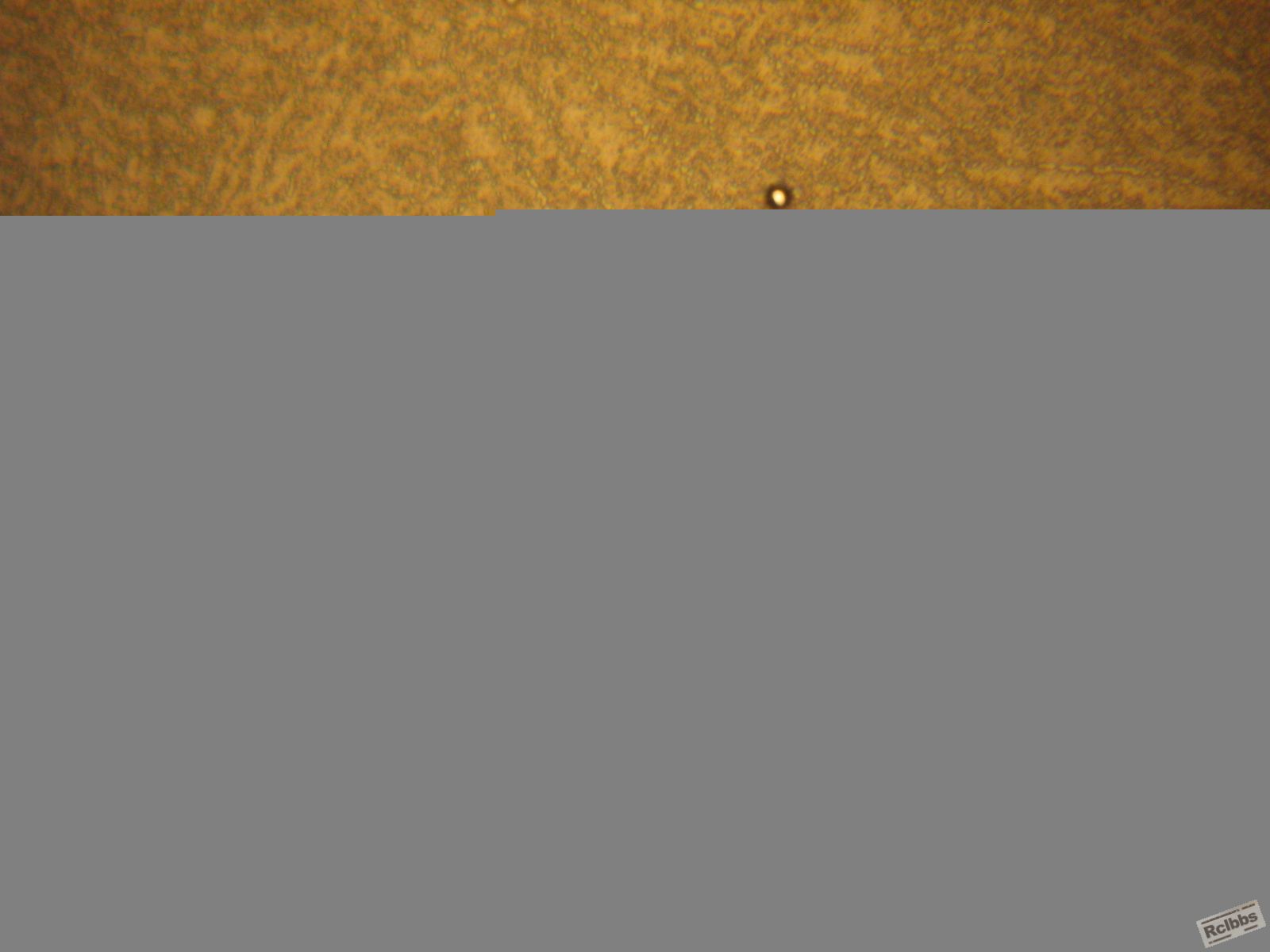 IMG_4519.JPG