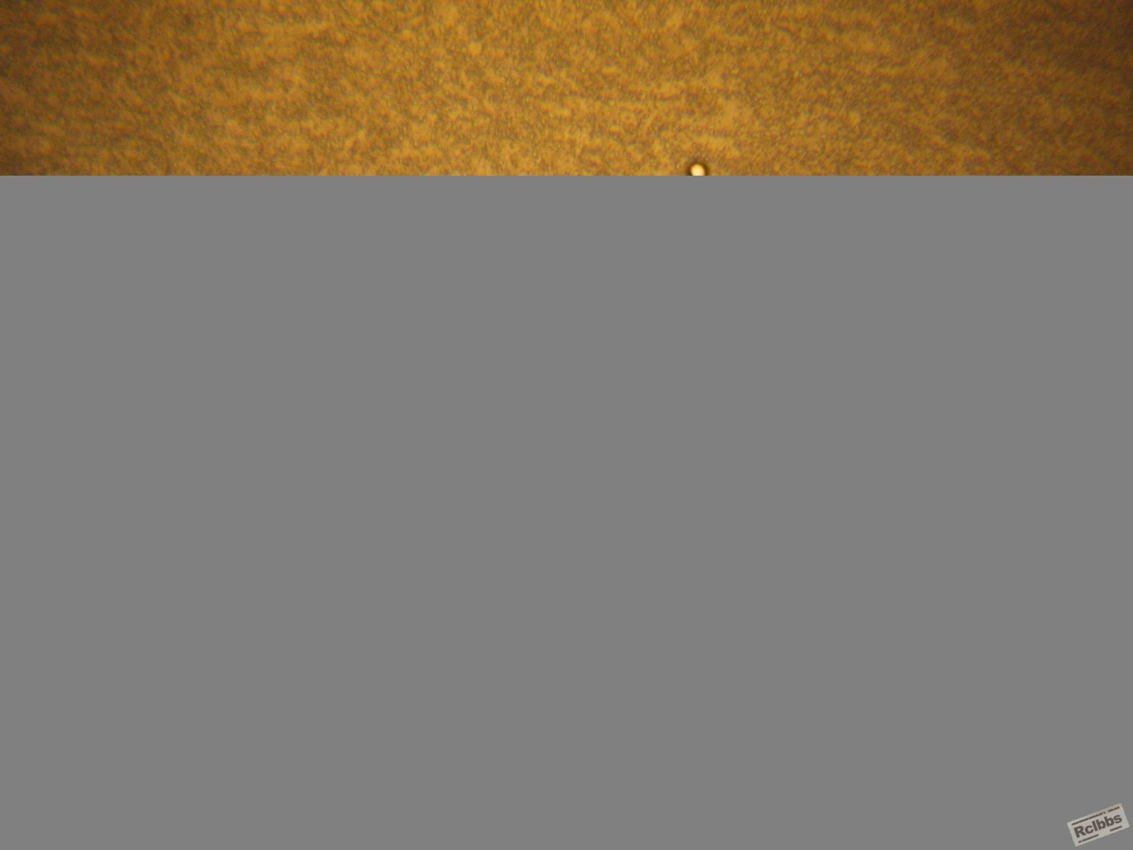 IMG_4520.JPG