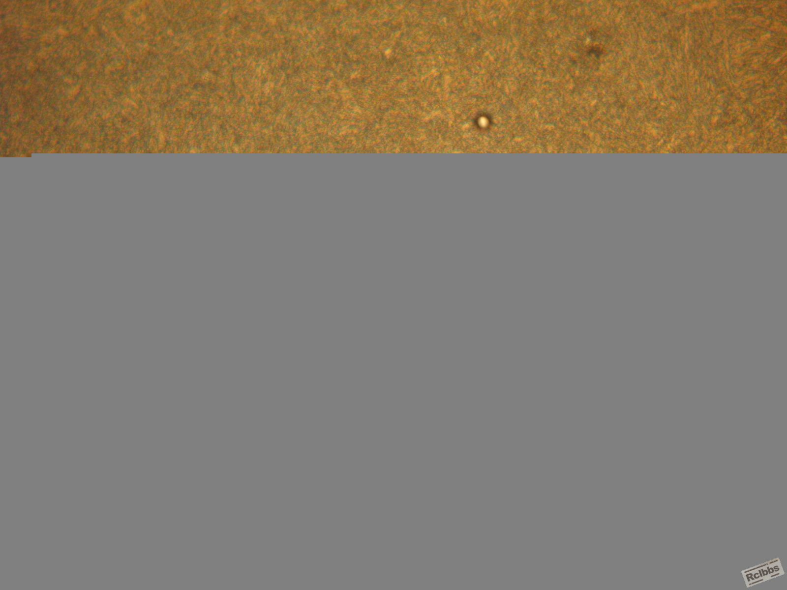 IMG_4521.JPG