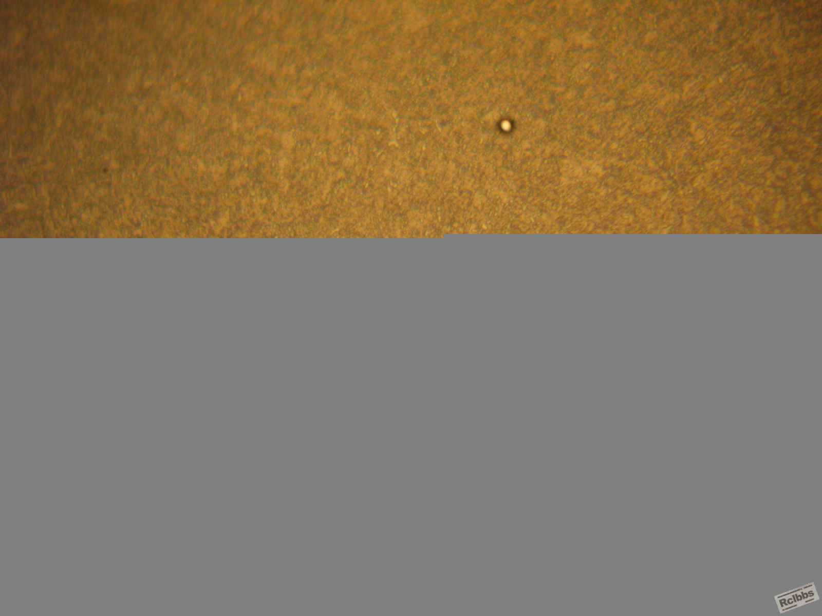 IMG_4524.JPG