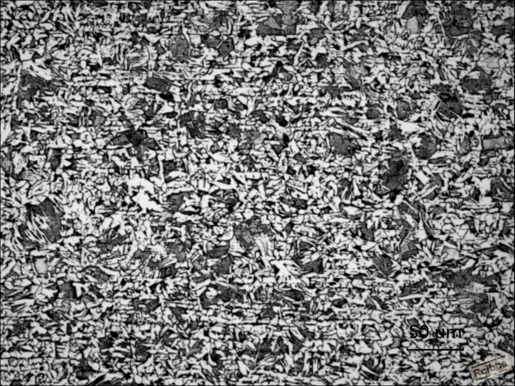 1X200.jpg