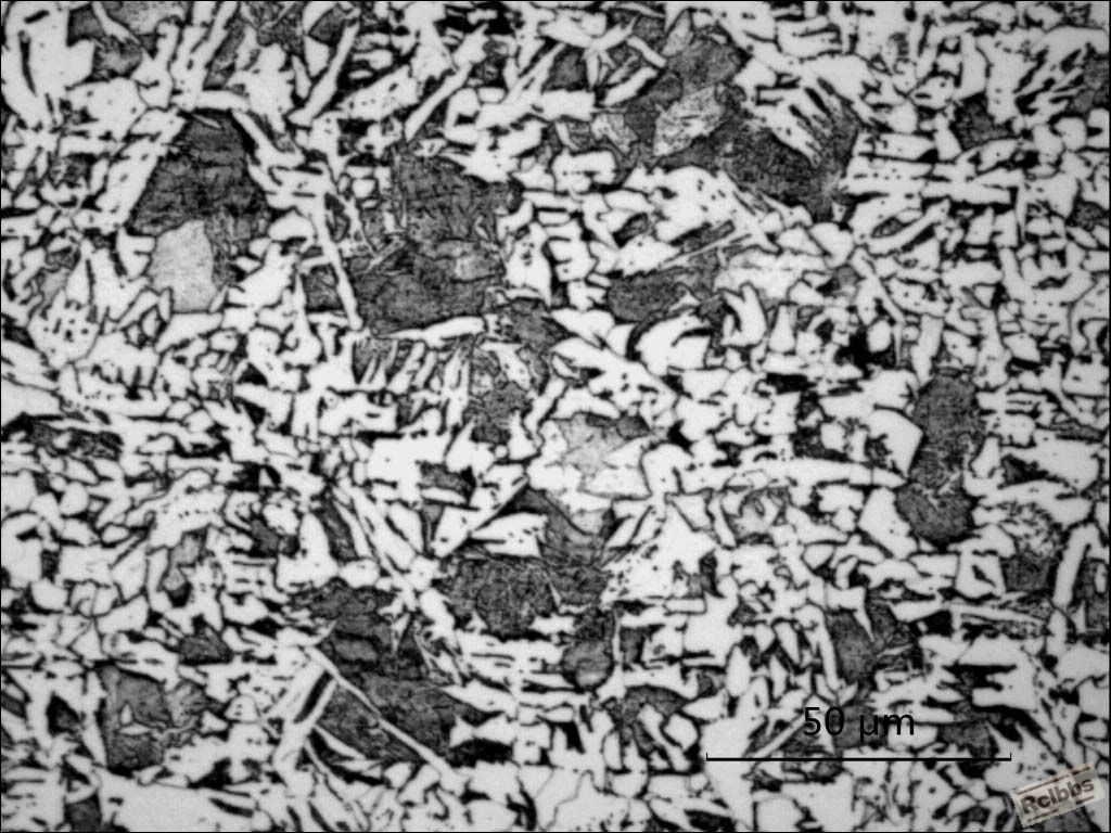 1X500.jpg