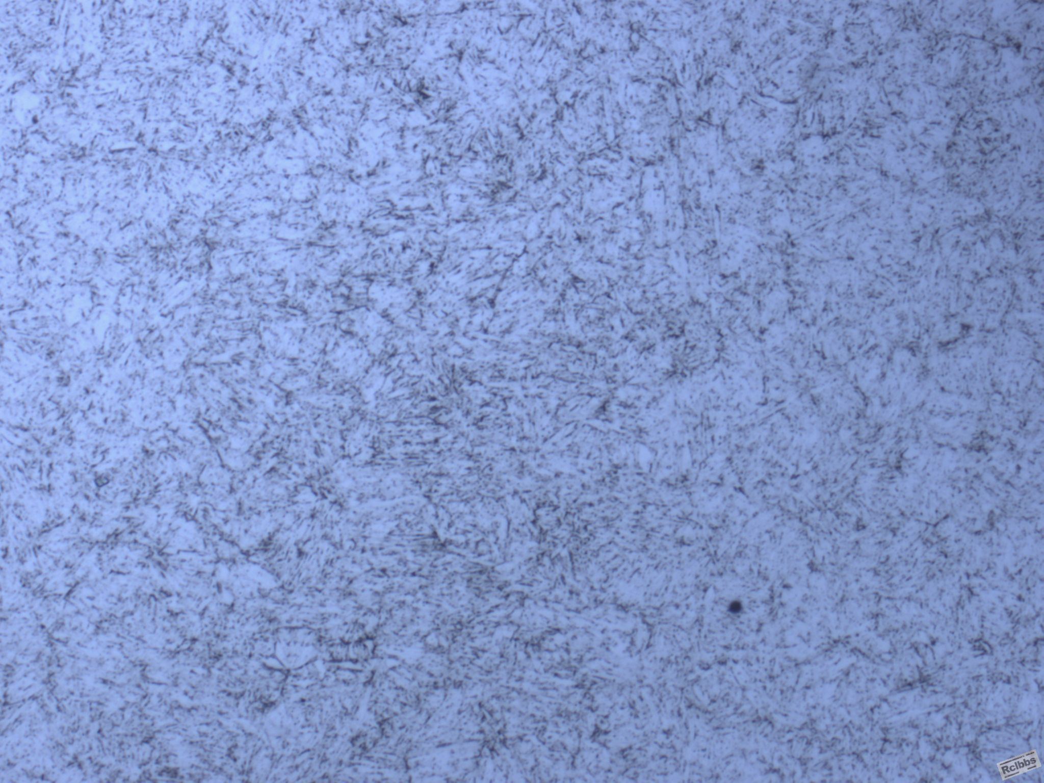 上部试样500X.JPG