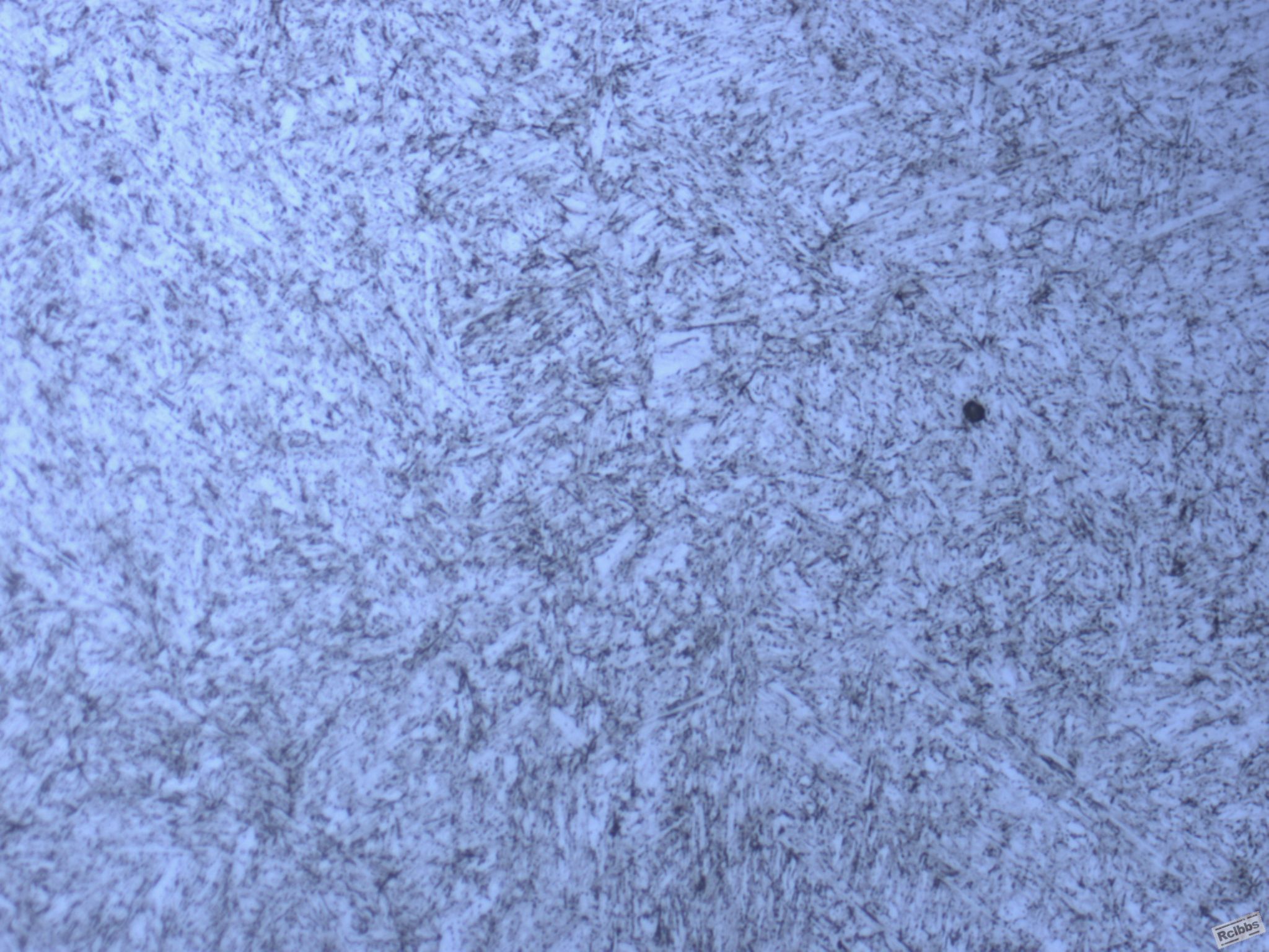 500Xn-1.JPG