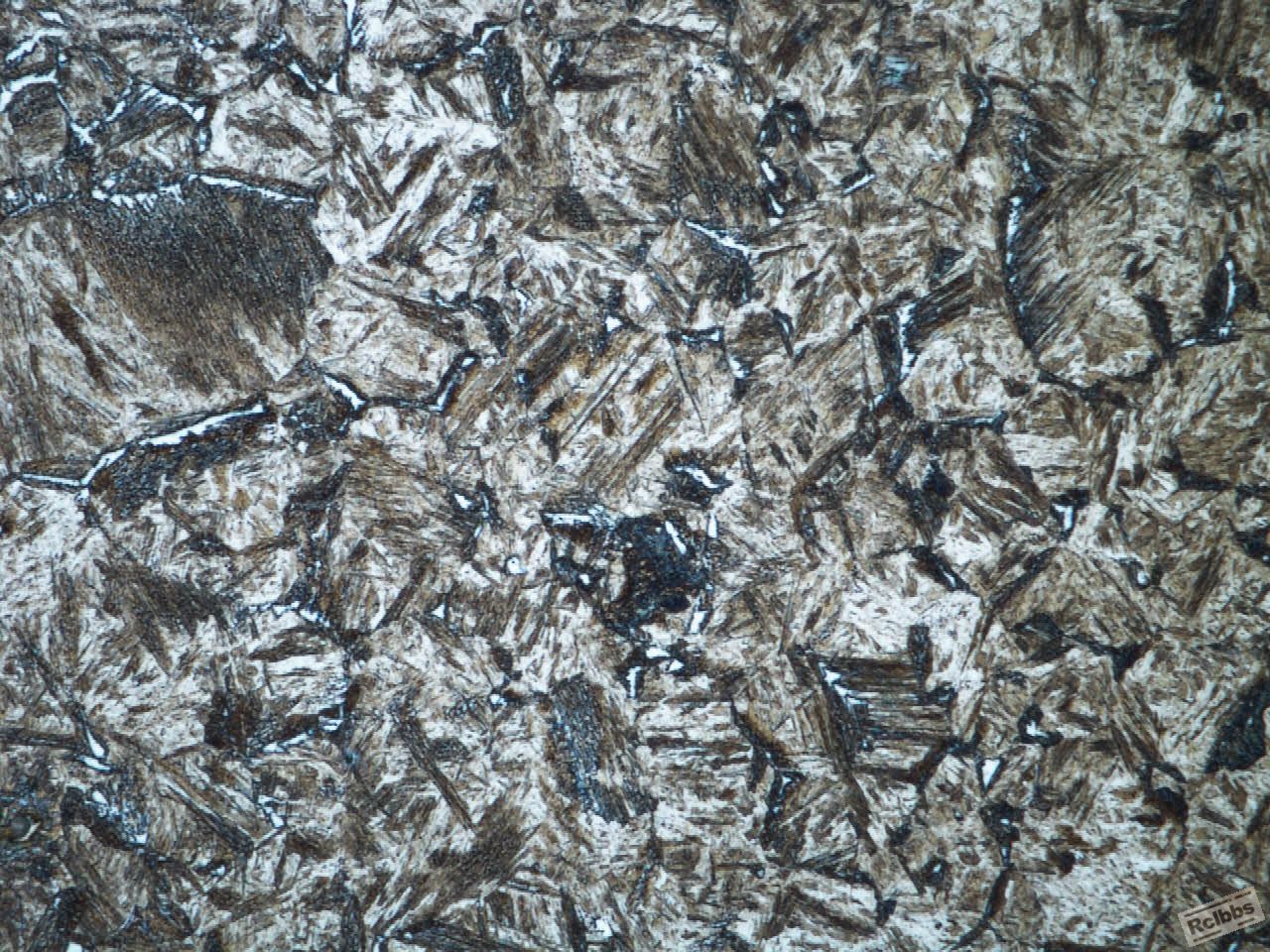 頗面-回火- 1000X-4.jpg