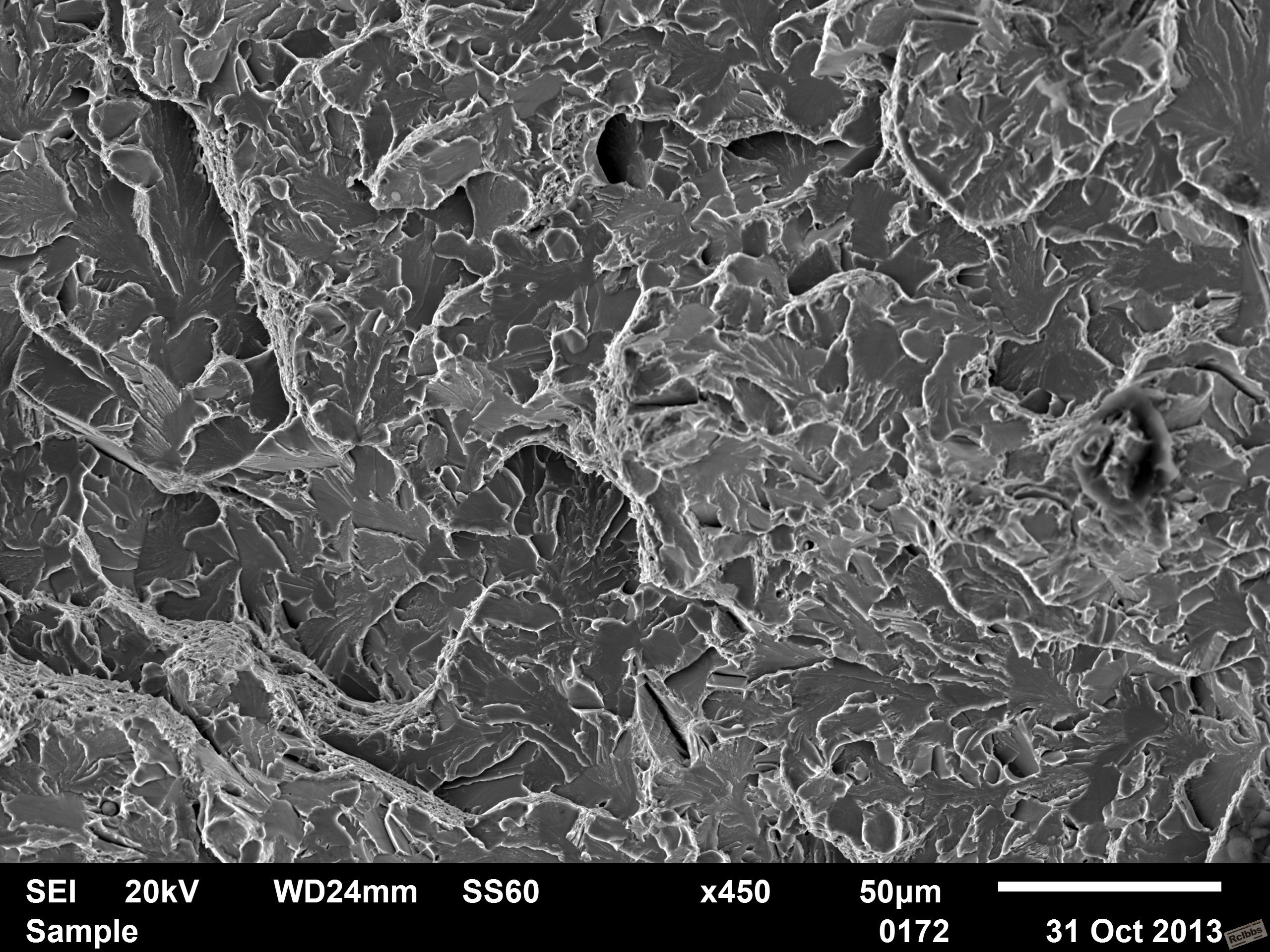 Sample0172.jpg