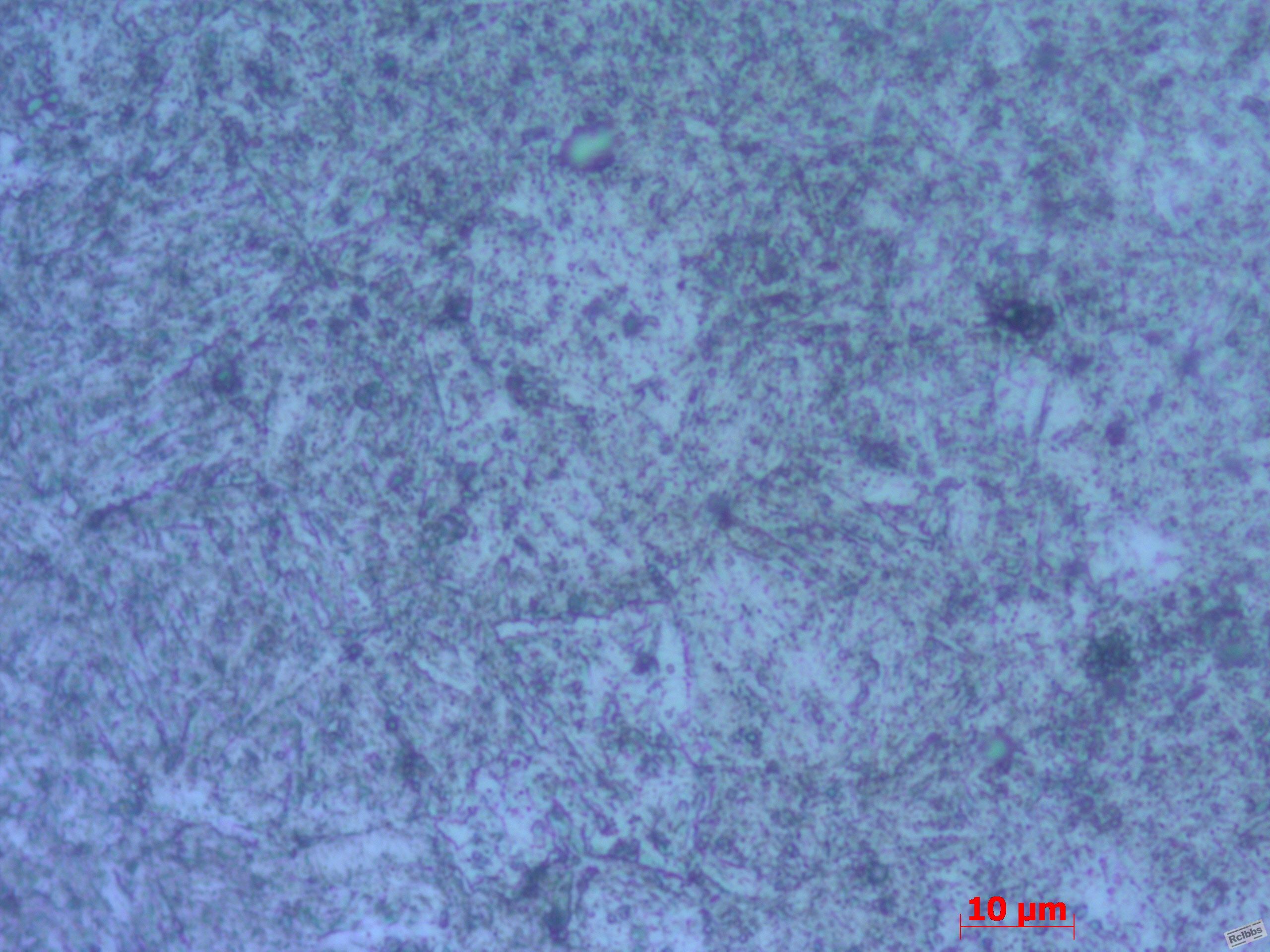 回火1000x.jpg