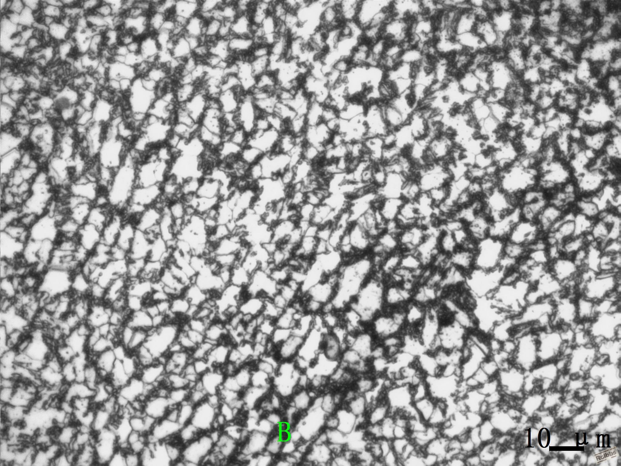 KC-1车门件纵截面异常组织5-500X B.JPG