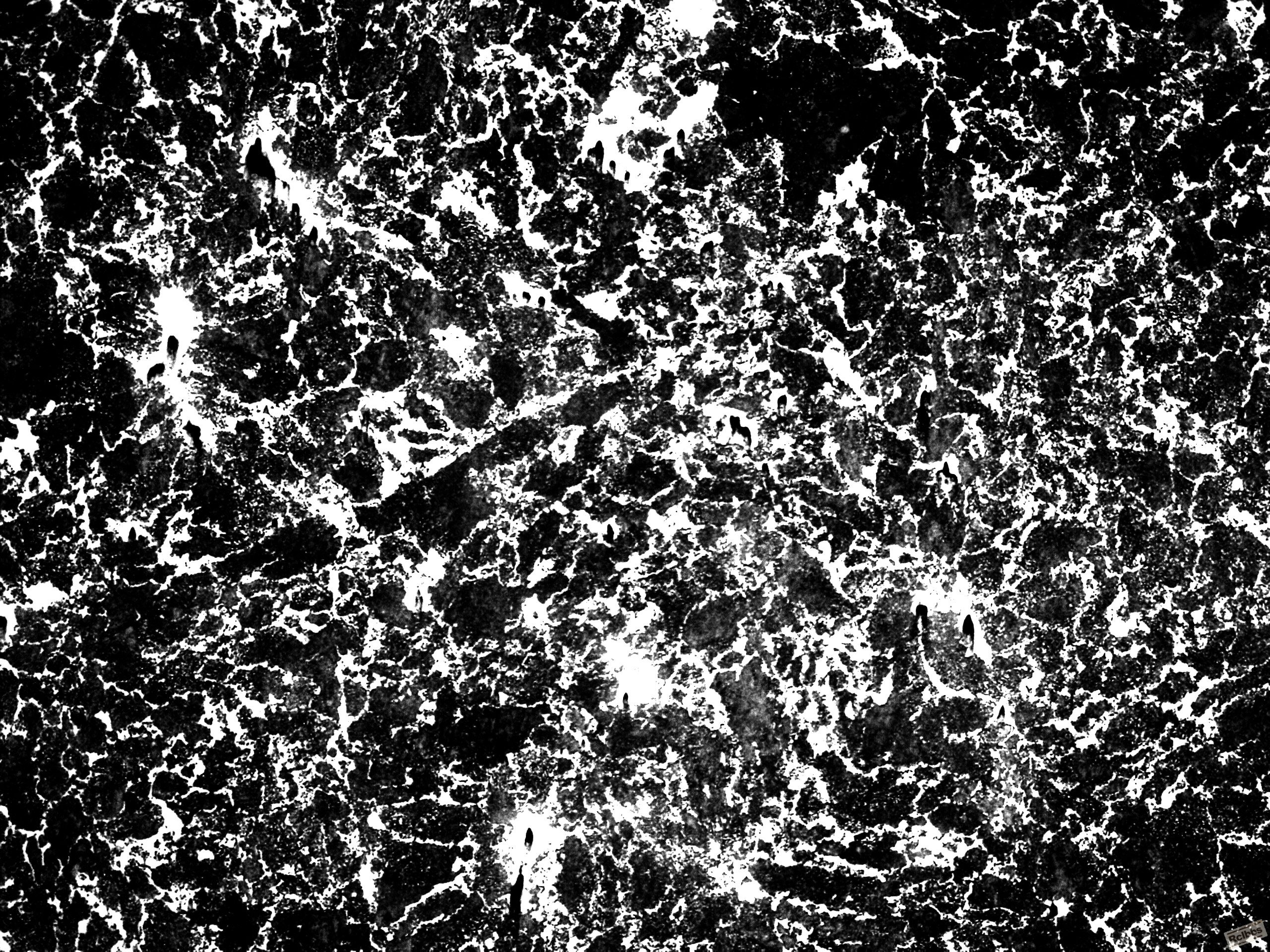 SNAP-174318-00030000000.jpg
