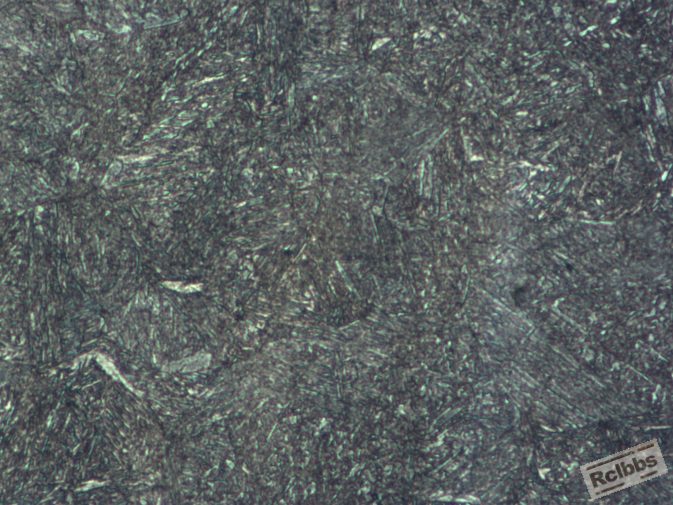 200X-1.jpg