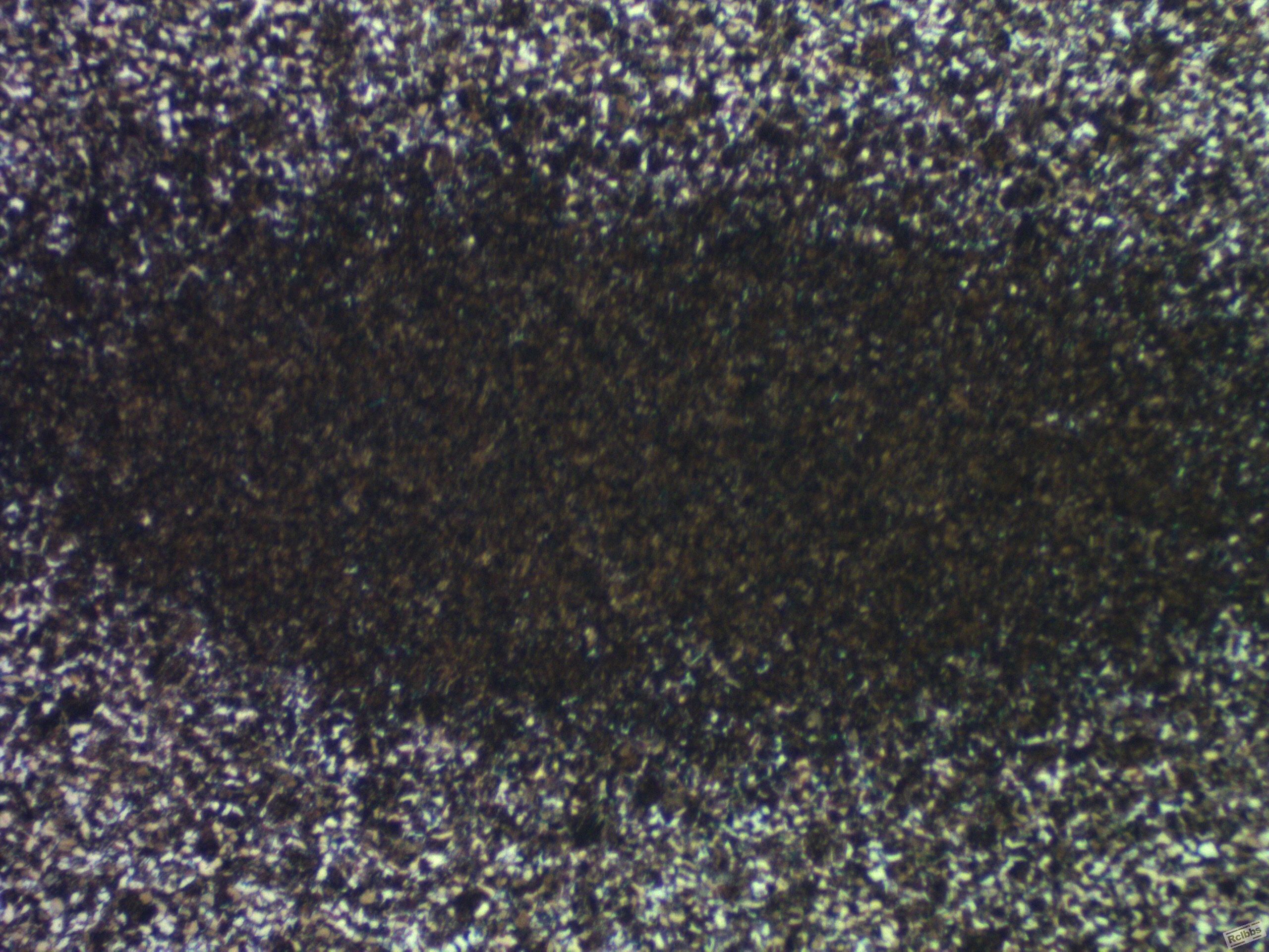 20131228-460-40-黑心-50X.jpg