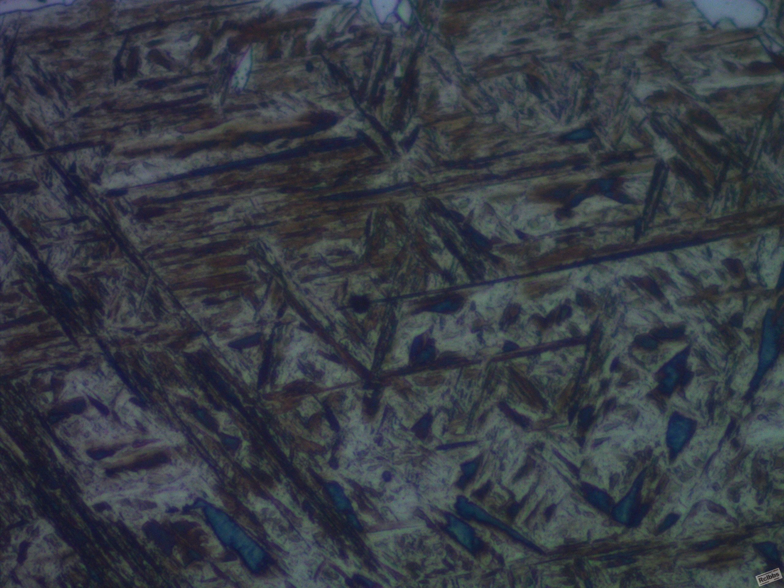 SNAP-110302-0004.jpg