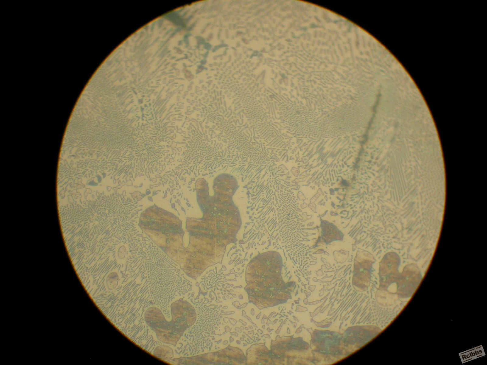DSCN3363.JPG