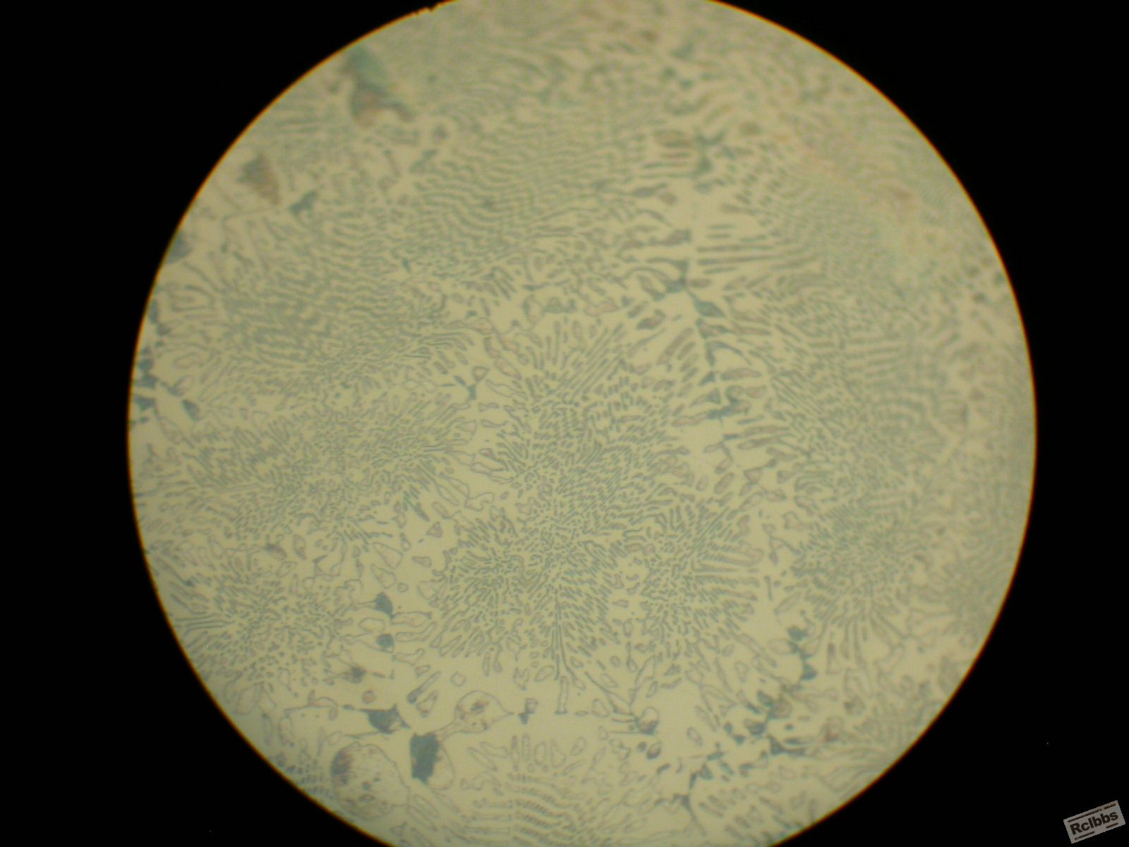 DSCN3368.JPG