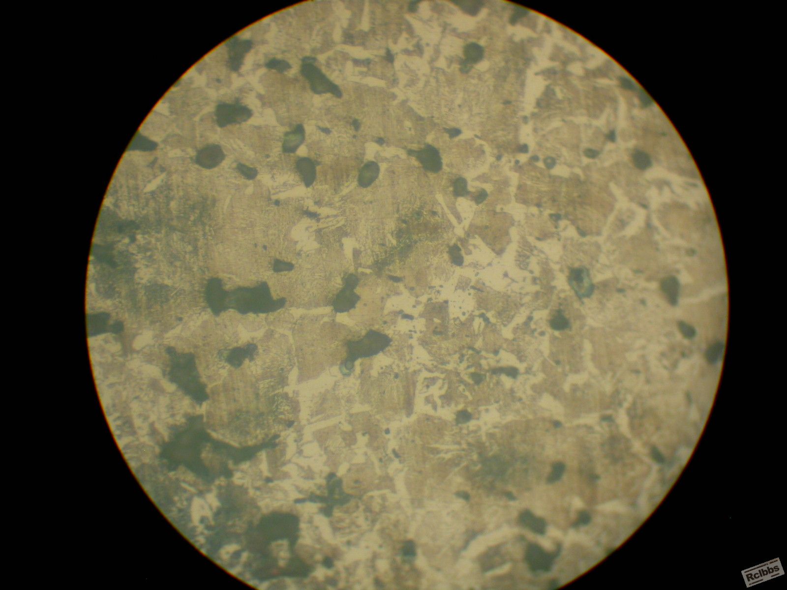 DSCN3374.JPG