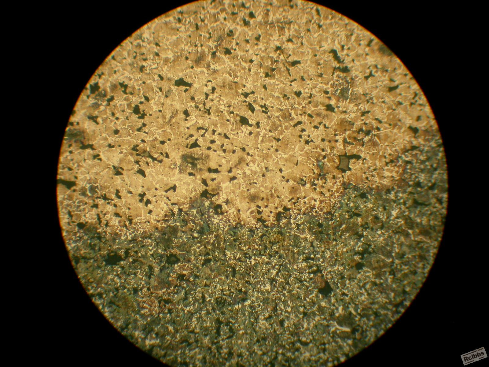 DSCN3371.JPG
