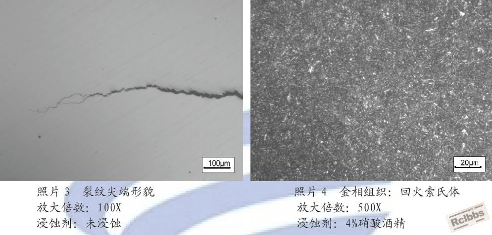 金相照片2.JPG