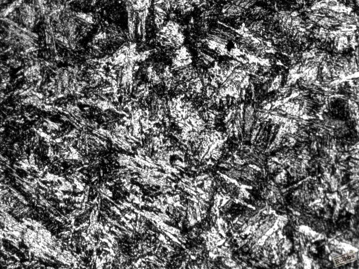 S0050A 100x.JPG