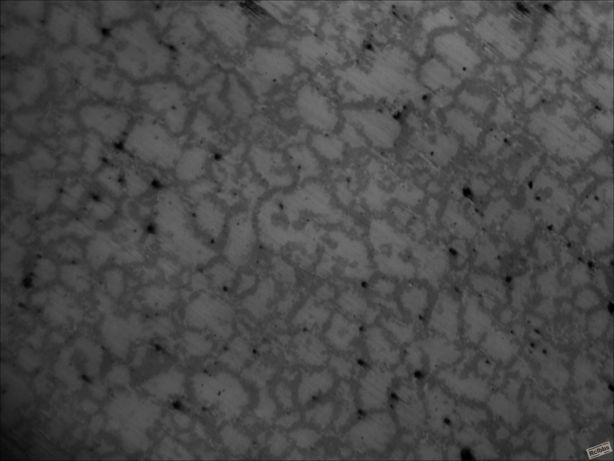 Cr12MoV 晶粒度 100倍