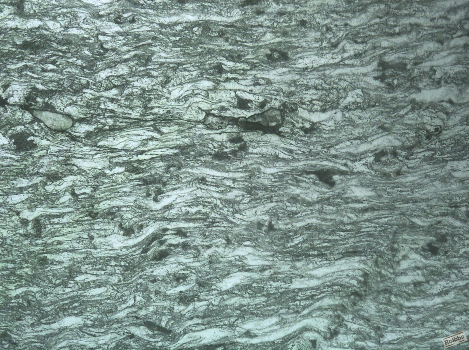 1 500倍-1.JPG