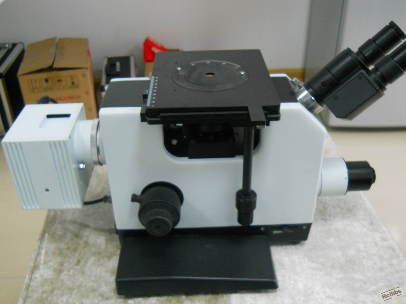 DSCN0517.jpg