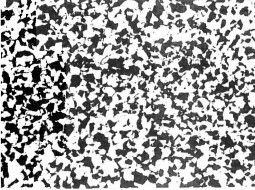 渗碳钢100X 1级