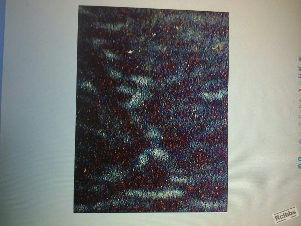 QQ图片20140218091502.jpg