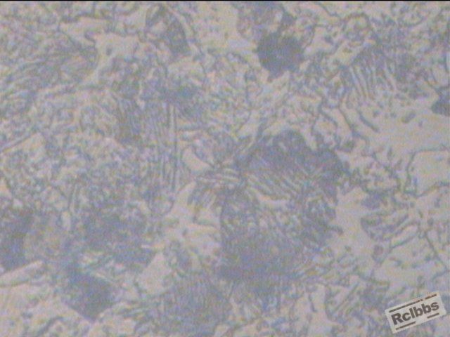 400X-2-蜗杆.jpg