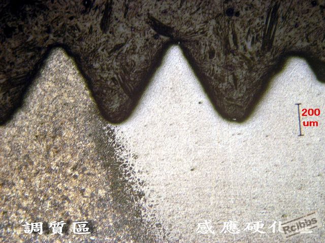 1f.jpg