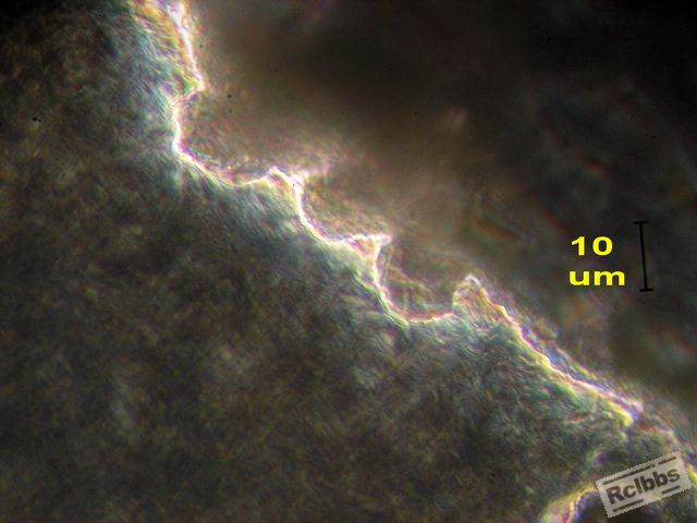 1P2104733A.jpg