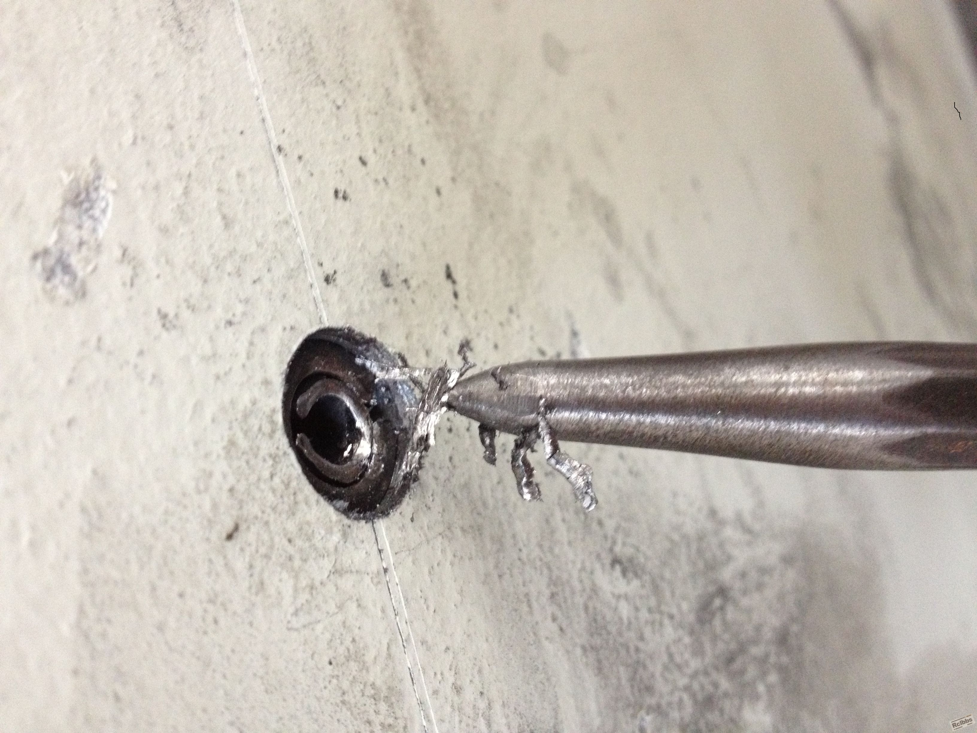 IMG_0231 (5).jpg