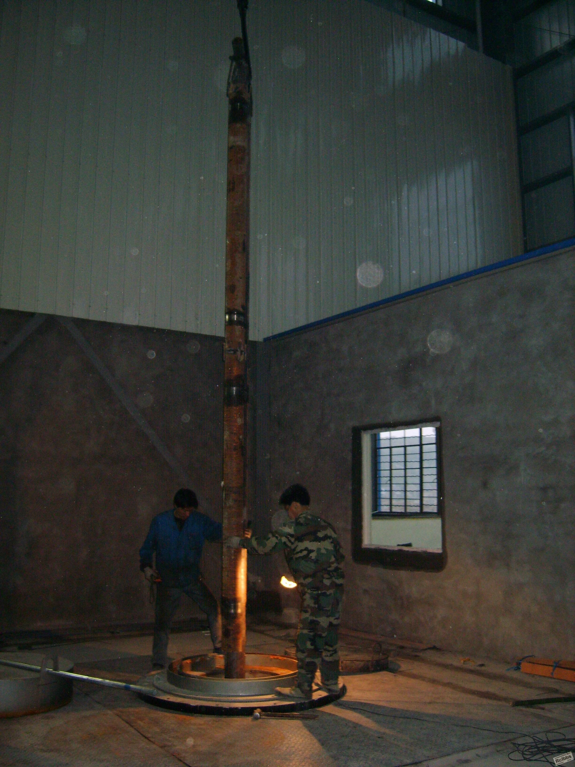XL800451.jpg