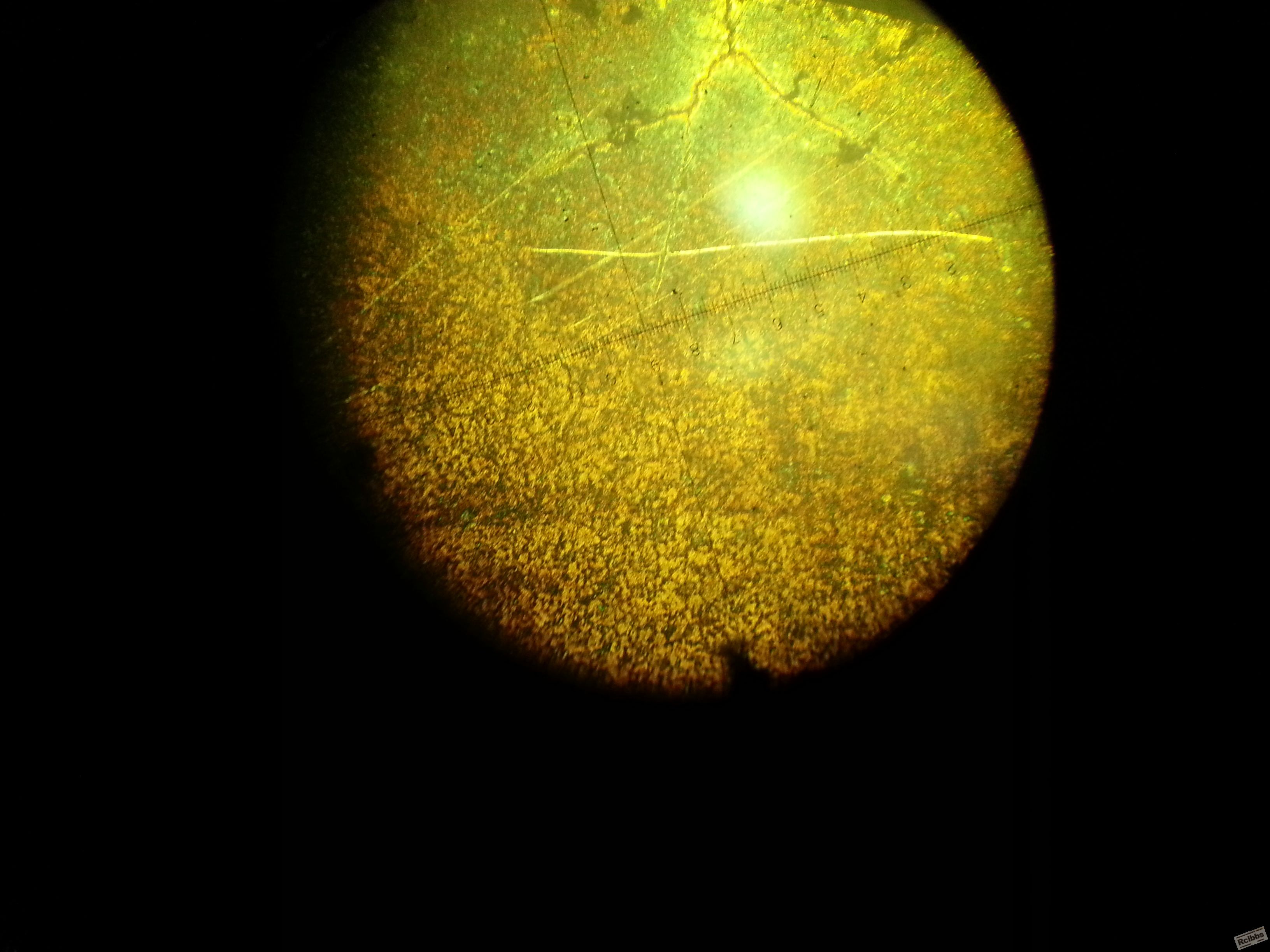 20140303.jpg.jpg