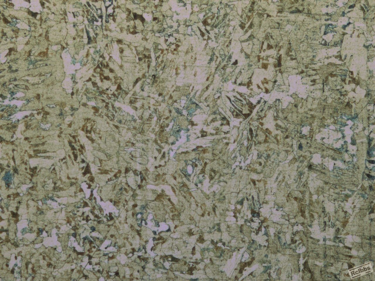 先共析铁素体