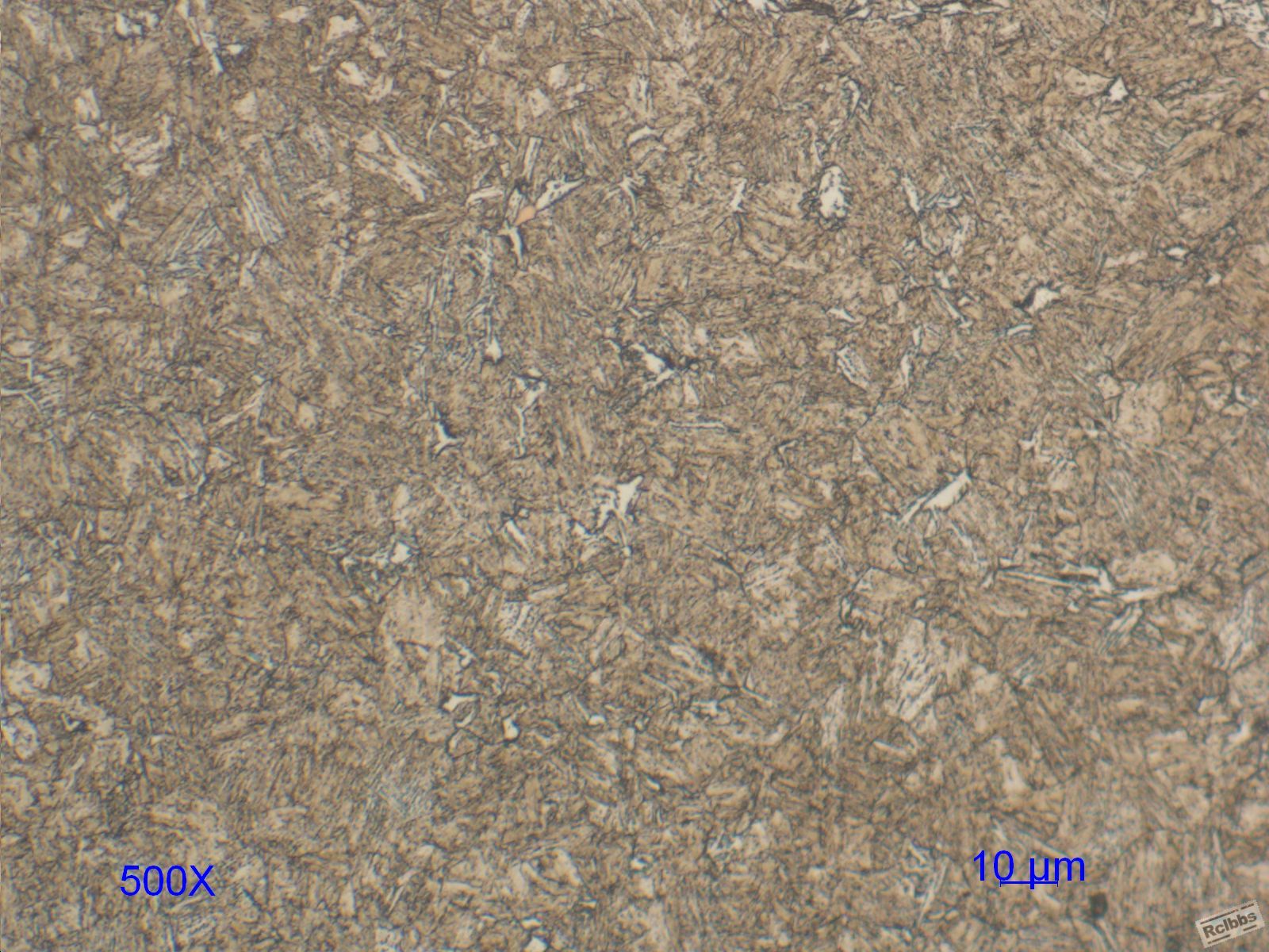 500X-3.JPG