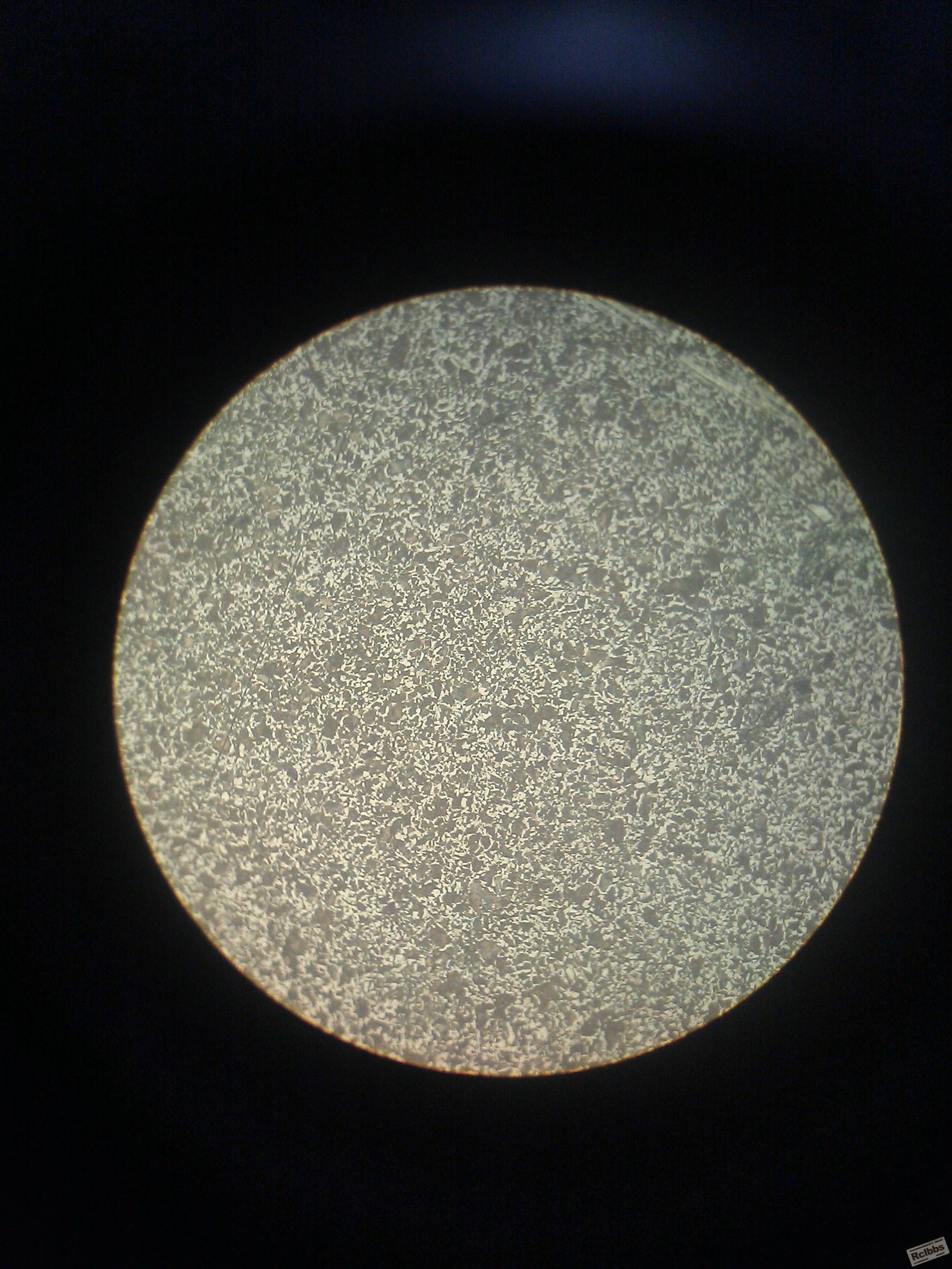 WP_000076.jpg