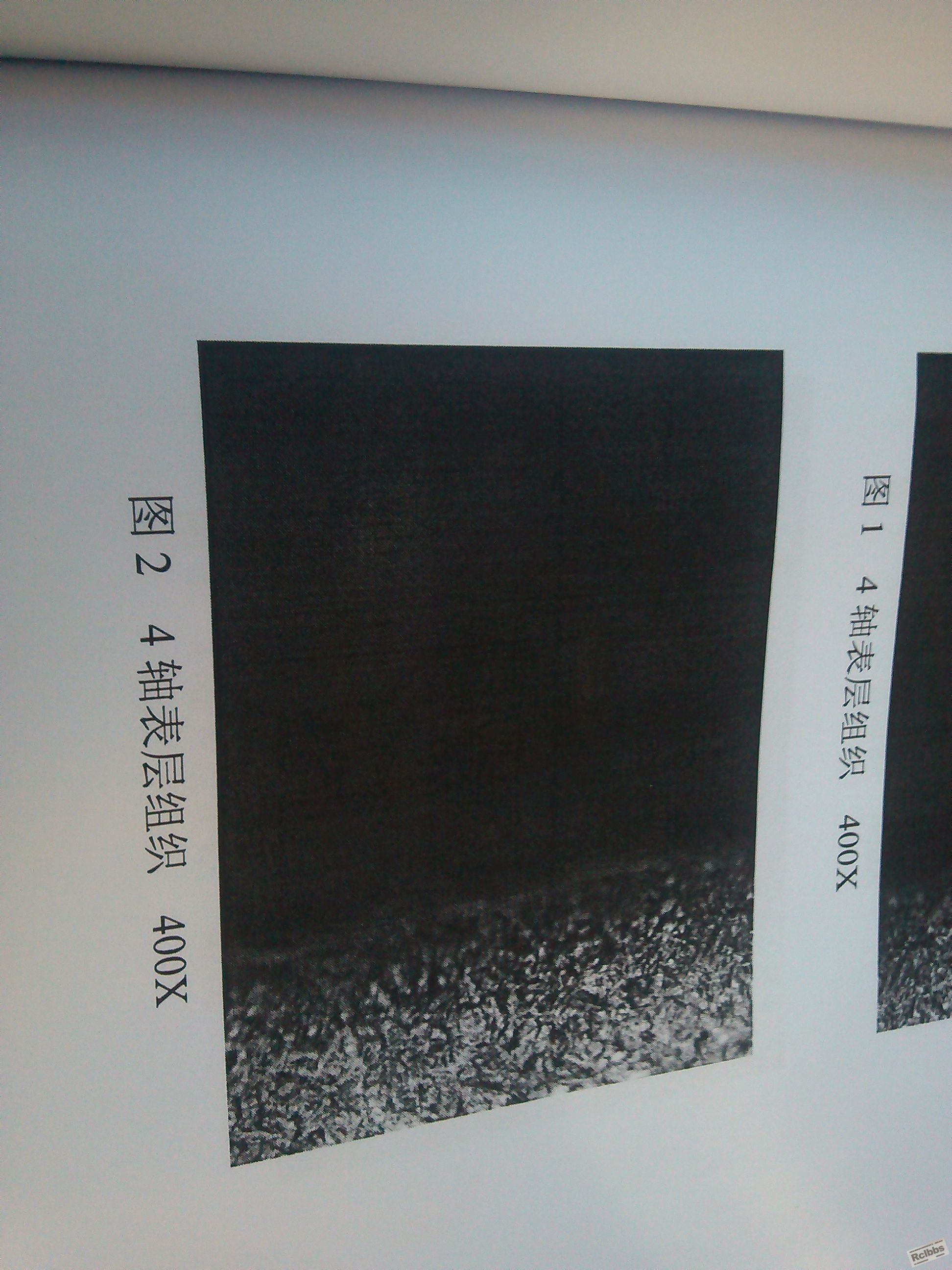 YP20140315165043810.jpeg