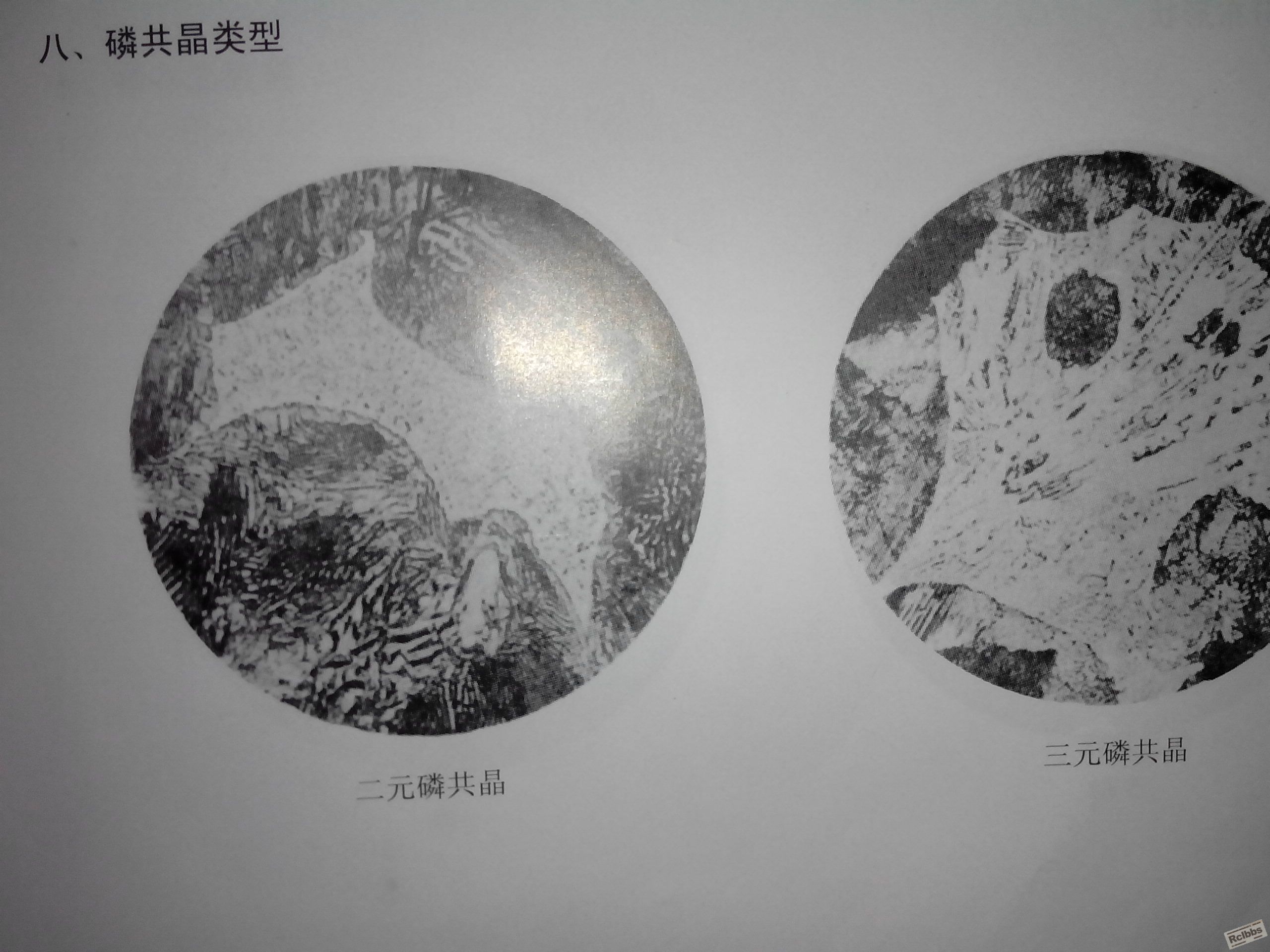 照片.jpg