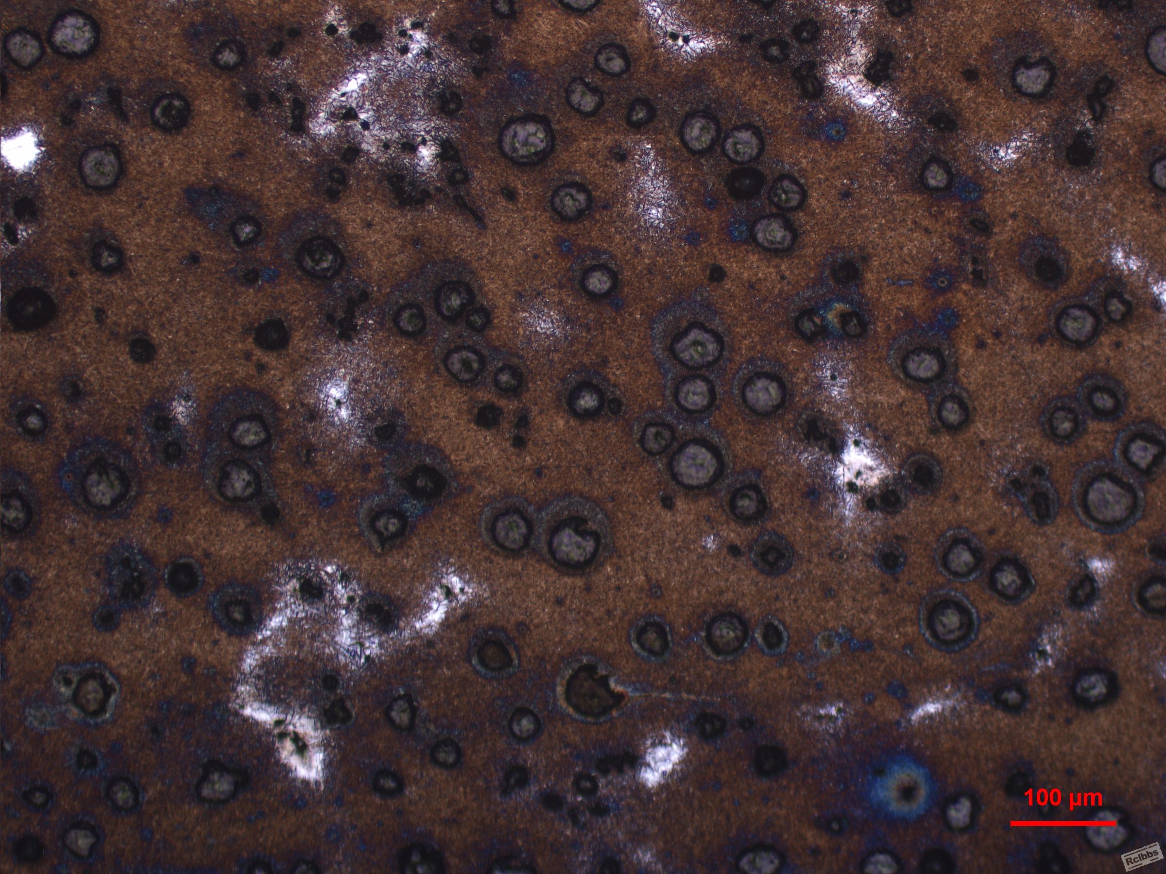 2P1-100X-1.JPG