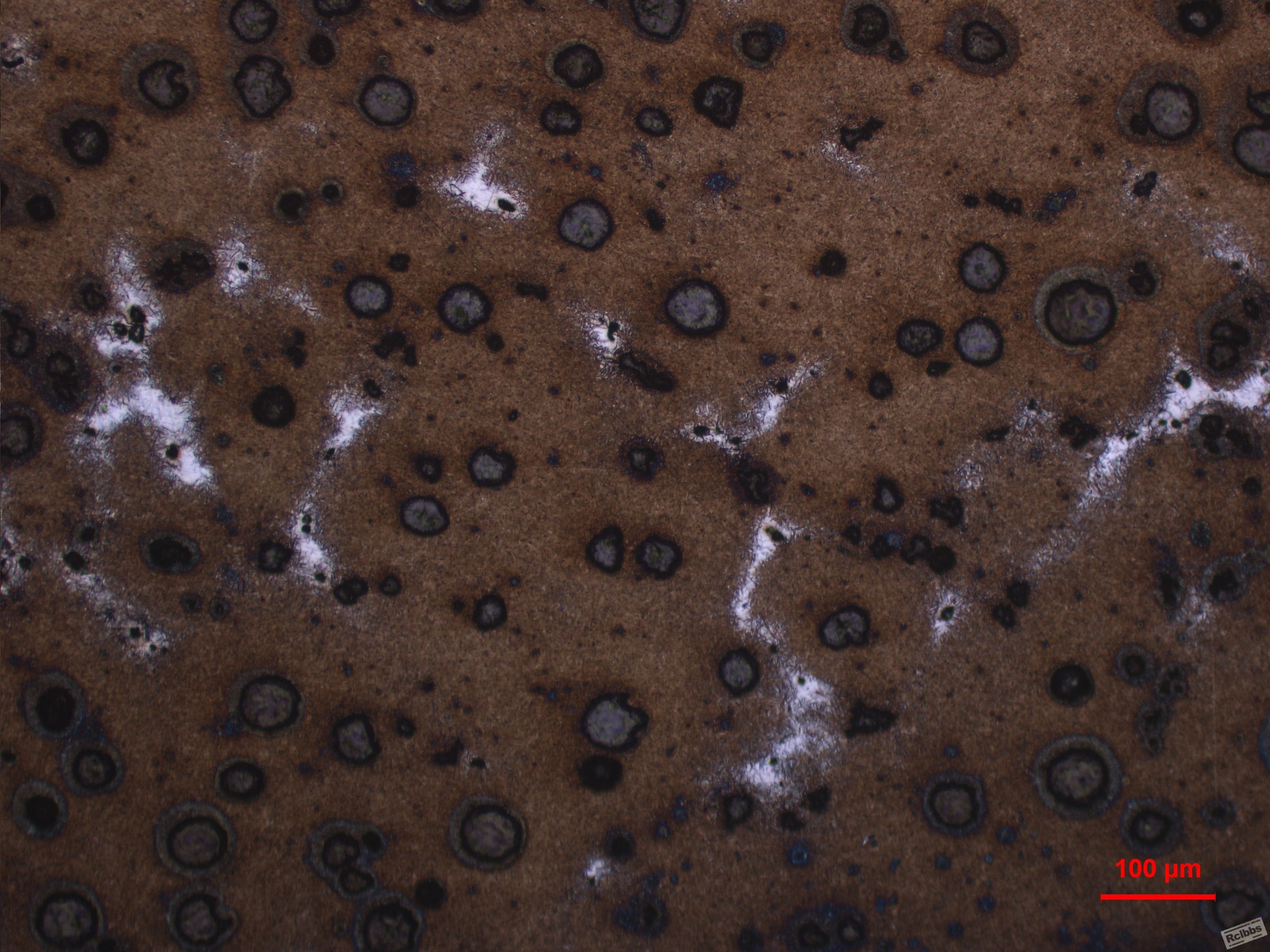 2P1-100X-3.JPG