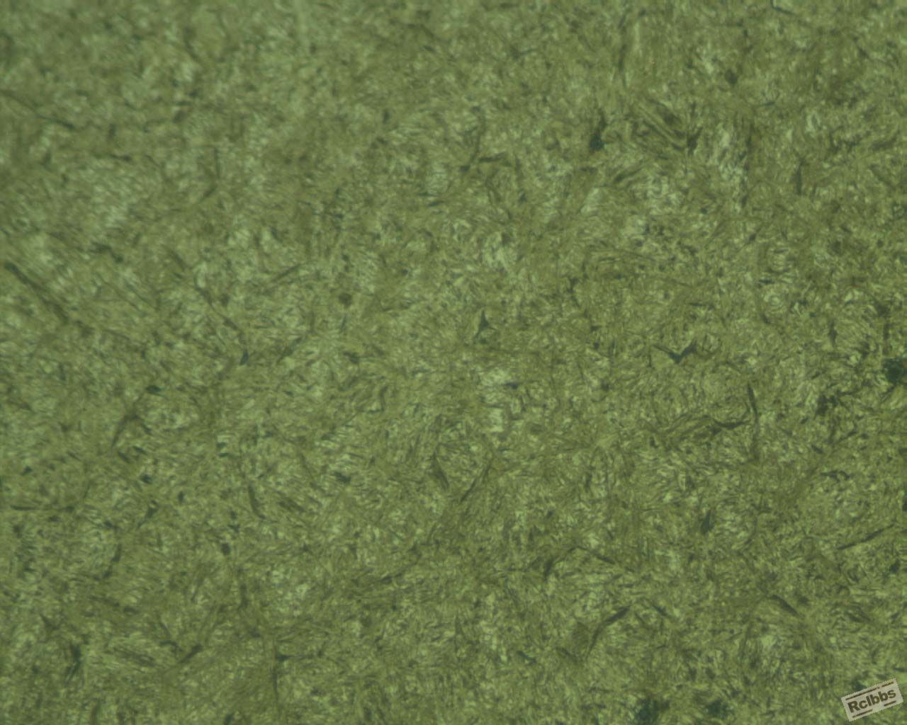 2014404-50-6-100-1.jpg