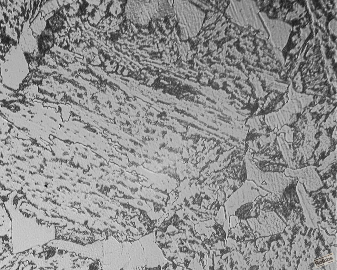 400X-2