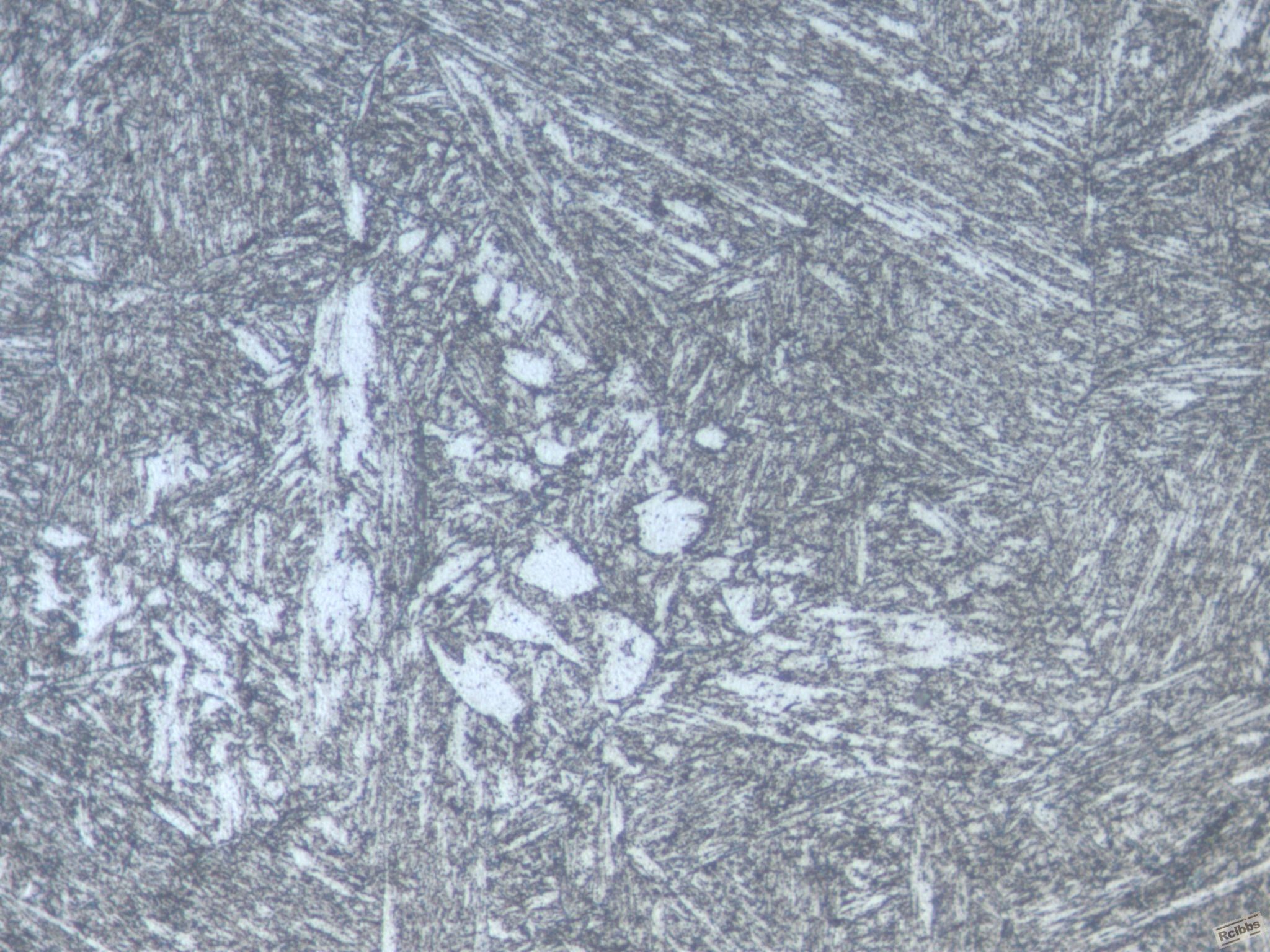 HB2  500X0002.jpg